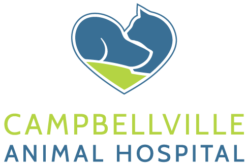 Campbellville Animal Hospital