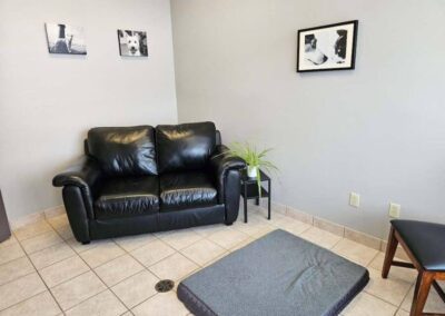 Campbellville Animal Hospital Animal Hospital Comfort Area