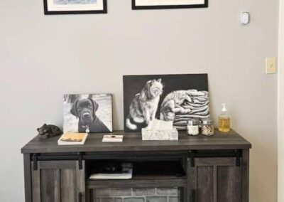 Campbellville Animal Hospital Comfort Area Display