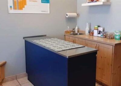 Campbellville Animal Hospital Exam Room