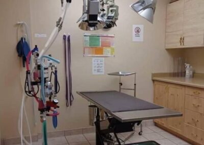 Campbellville Animal Hospital Surgical Suite