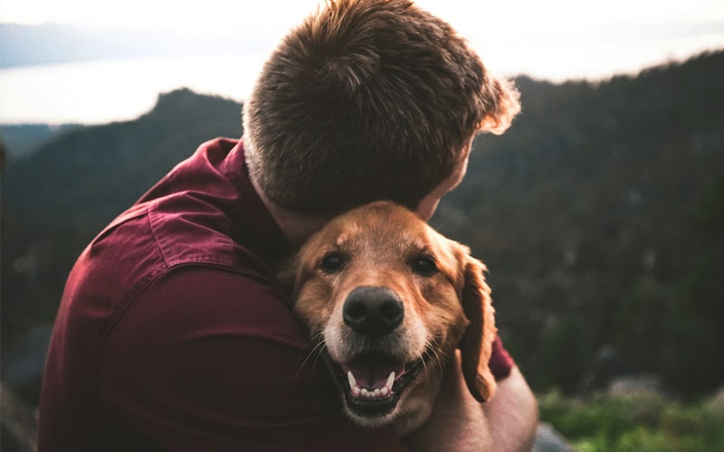Man-caring-pet-dog Man-caring-pet-dog