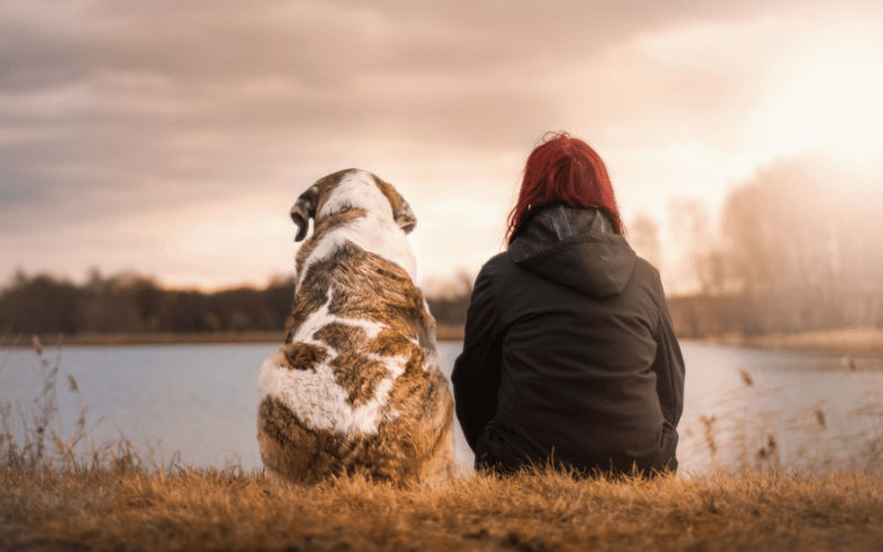 end of life care (6) (1) person sitting by their dog next to a lake